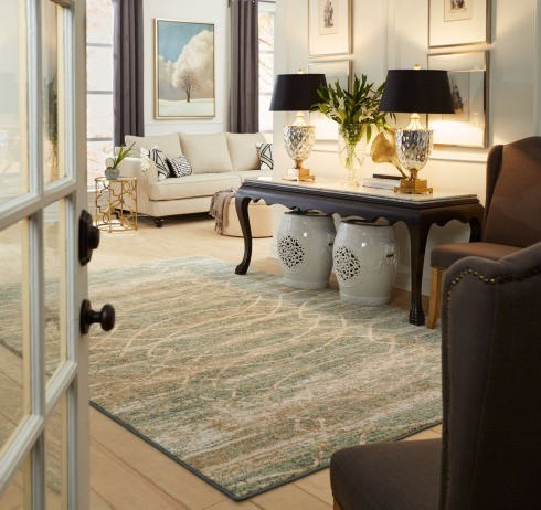 Karastan area rug | Hill's Interiors