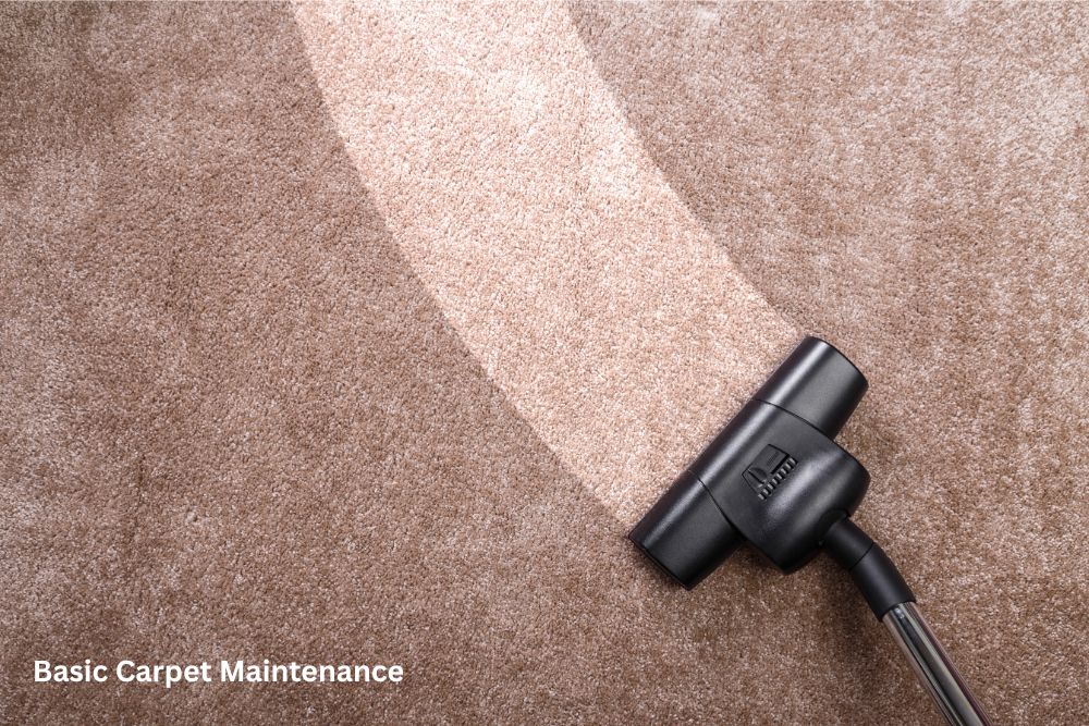 Carpet cleaning | Hill's Interiors