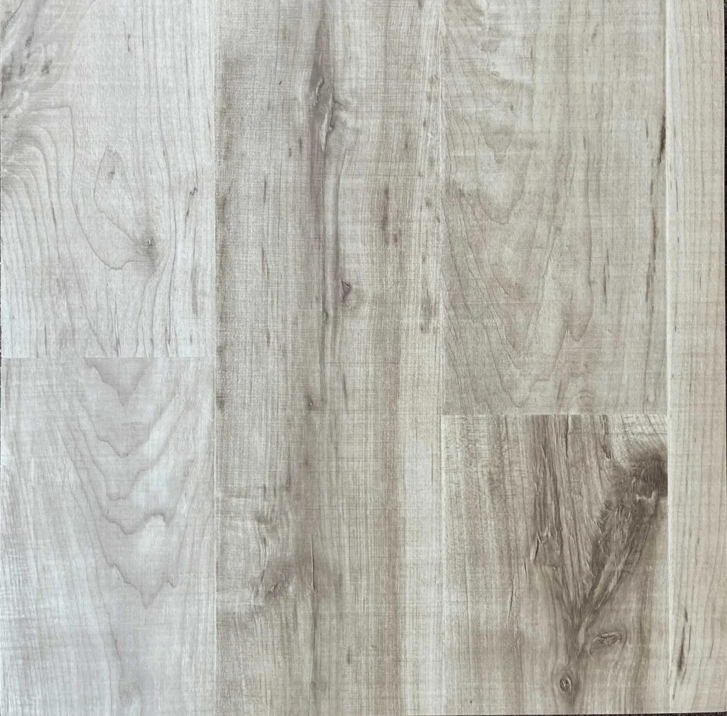 Ellenwood-Maple-Sapling