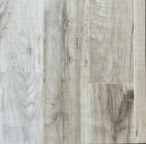 Ellenwood-Maple-Sapling