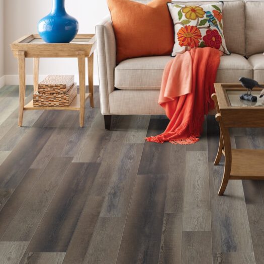 shaw paragon mix vinyl flooring